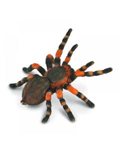 Figurina Tarantula Mexicana cu genunchi rosii