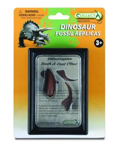 Figurina Dinte si Gheara de Velociraptor Box Set Collecta