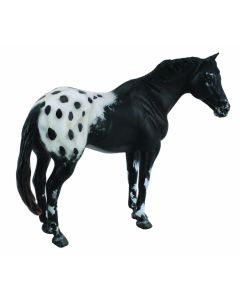 Figurina Armasar Black Appaloosa XL Collecta