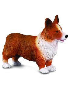 Corgi - Collecta