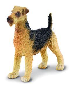 Terrierul Airedale - Collecta