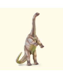 Rhoetosaurus - Collecta