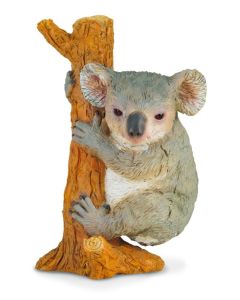 Koala - Collecta