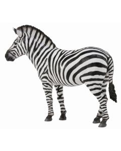 Zebra - Collecta