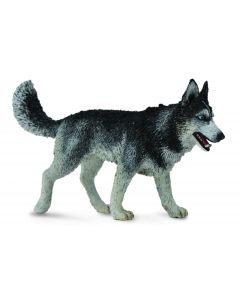 Figurina Caine Husky Siberian L Collecta