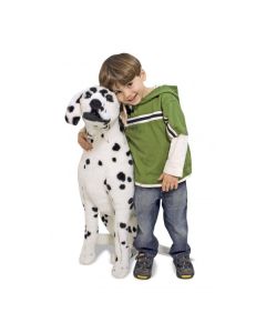 Catel Dalmatian din plus